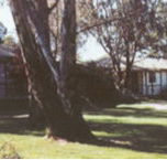 Winbi River Resort - Accommodation Port Hedland
