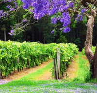 Bago Vineyards - Accommodation Port Hedland