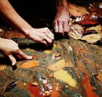 Daintree Eco Lodge And Spa - Accommodation Port Hedland