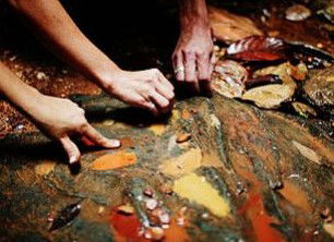 Daintree Eco Lodge And Spa - Accommodation Port Hedland 0