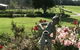 Jacaranda Country Lodge - thumb 2