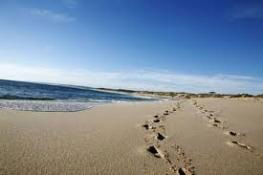 Kalbarri Palm Resort - Accommodation Port Hedland 4