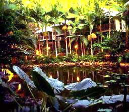 Daintree Eco Lodge And Spa - Accommodation Port Hedland 3