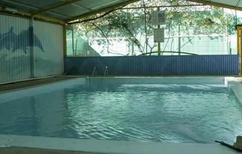 Wycliffe Well Holiday Park - Accommodation Port Hedland 1