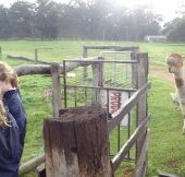 Boronia Farm Farmstay - Accommodation Port Hedland