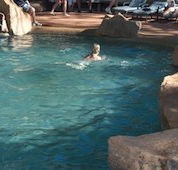 Undara Experience Lava Lodge - Accommodation Port Hedland