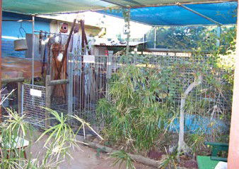 Safari Lodge Motel - Accommodation Port Hedland 1
