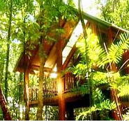 The Canopy Treehouses - Accommodation Port Hedland