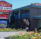 Strzelecki Motor Lodge - Accommodation Port Hedland