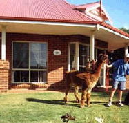 Brilea Cottages - Accommodation Port Hedland