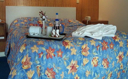 Bandicoot Motor Inn - Accommodation Port Hedland 2