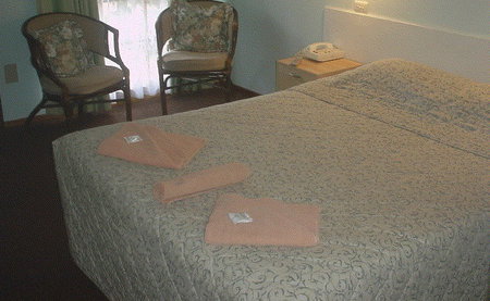 Bandicoot Motor Inn - Accommodation Port Hedland 4