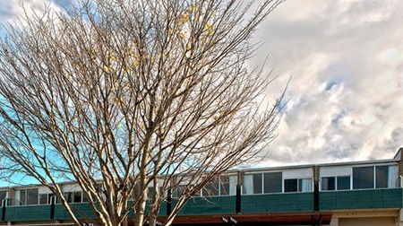 St Helens Bayside Inn - Accommodation Port Hedland 1