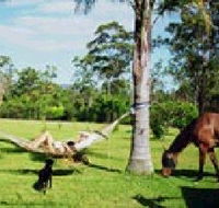 Neds Bed Horse O Tel - Accommodation Port Hedland