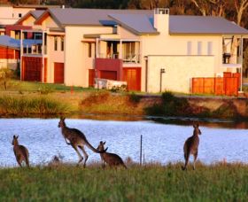 Grand Mercure The Vintage Hunter Valley - Accommodation Port Hedland 0