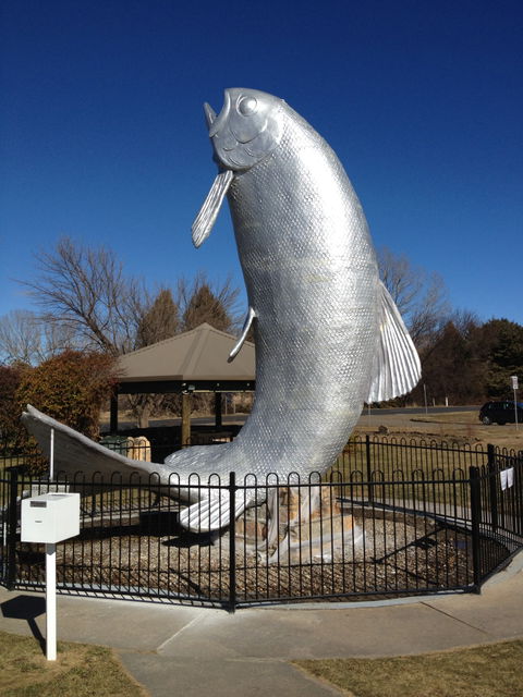 Snow Goose Hotel Motel - Accommodation Port Hedland 0