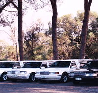 Hollywood VIP Limousines