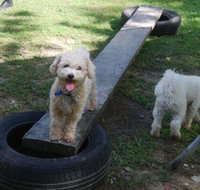 Beenleigh Pet Motel - Accommodation Port Hedland