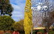 Hills Of Gold Motel - thumb 3