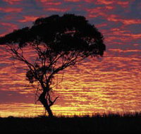 Kimba Caravan Park amp Motel - Accommodation Port Hedland
