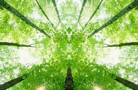 Ibis Budget Wentworthville - Accommodation Port Hedland 2