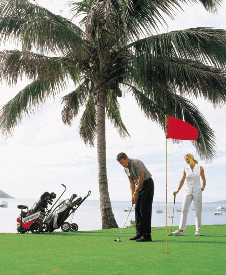 Adventure Island Whitsundays (south Molle Island) - Accommodation Port Hedland 2