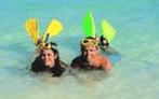 Adventure Island Whitsundays (south Molle Island) - Accommodation Port Hedland 5