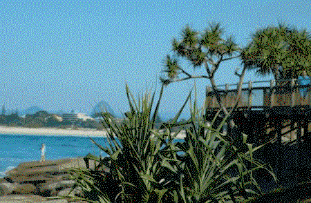 Pandanus Shores - Accommodation Port Hedland 5