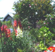 Hopfield Country Cottages - Accommodation Port Hedland