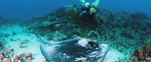 Glen Eden QLD Accommodation Port Hedland