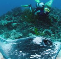 Heron Island Resort - Accommodation Port Hedland