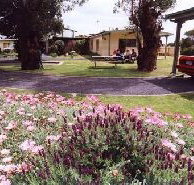 Brigadoon Holiday Units - Accommodation Port Hedland