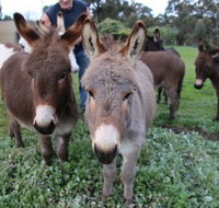 Donkey Tales Farm Cottages - Accommodation Port Hedland
