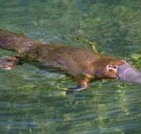 Eilean Donan Gardens - Accommodation Port Hedland