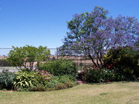 Chuckem Farm - Accommodation Port Hedland 0