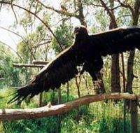 Curlew Hill Sanctuary - Accommodation Port Hedland