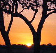 Coodardie Station Stay - Accommodation Port Hedland