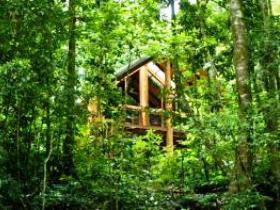 Fur'N'Feathers Rainforest Tree Houses - Accommodation Port Hedland 0