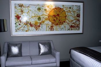 Art Series - The Olsen - Accommodation Port Hedland 44