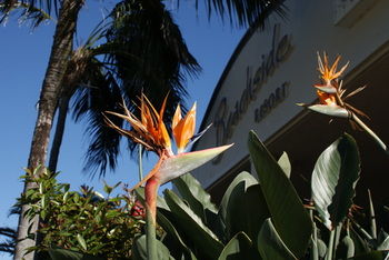 Beachside Resort - Kawana Waters - Accommodation Port Hedland 4