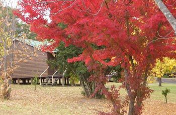 Madison's Mountain Retreat - Accommodation Port Hedland 1