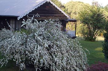 Madison's Mountain Retreat - Accommodation Port Hedland 3