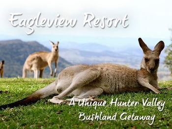 Eagleview Resort - Accommodation Port Hedland 45