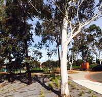 Box Hill Studios at Canterbury Gardens - Accommodation Port Hedland