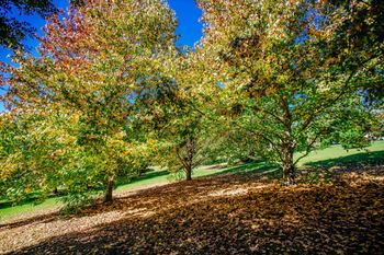 Avoca Valley Bed & Breakfast - Accommodation Port Hedland 14