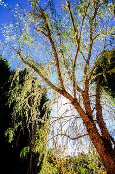 Avoca Valley Bed & Breakfast - Accommodation Port Hedland 23