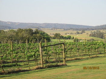 Tranquil Vale Vineyard & Cottages - Accommodation Port Hedland 5