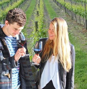 Valley Farm Vineyard Cottages - Accommodation Port Hedland 0