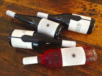 Valley Farm Vineyard Cottages - Accommodation Port Hedland 15