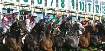 Hawkesbury Race Club Motel - Accommodation Port Hedland 13